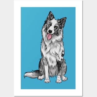 Cute Blue Merle Border Collie Dog Posters and Art